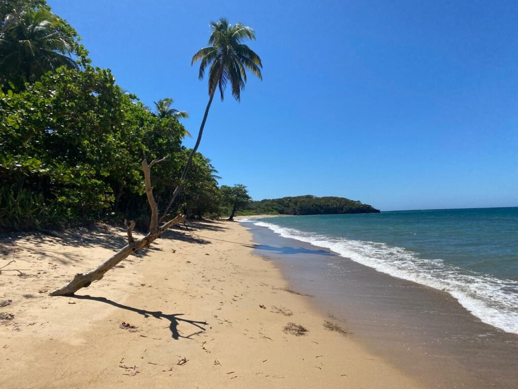 Property For Sale in Roatan